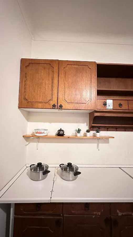 Damjanich Apartment 布达佩斯 匈牙利