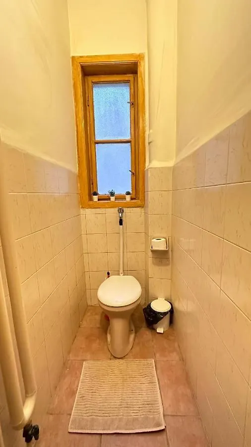 Damjanich Apartment 布达佩斯